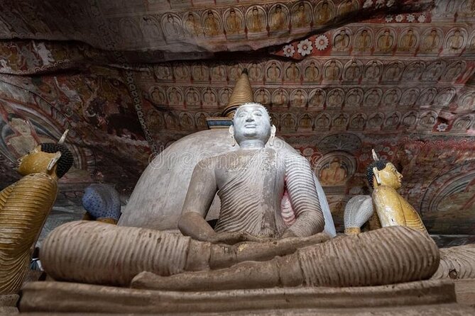 Private Sigiriya Day Tour and Authentic Sri Lankan Lunch Buffet - The driver-guide makes a practical difference
