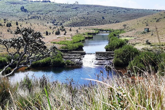 Private Tour in Horton Plains National Park ( World's End) with Pickup - Walking the 9.5-kilometer circuit