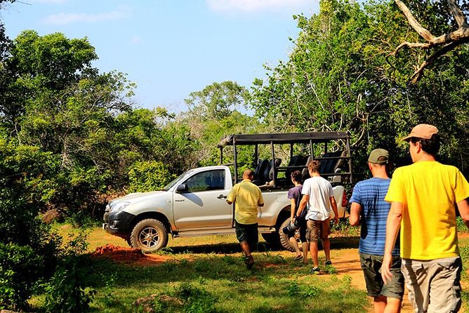 Private Tour: Yala National Park Safari - Why Yala is worth your time