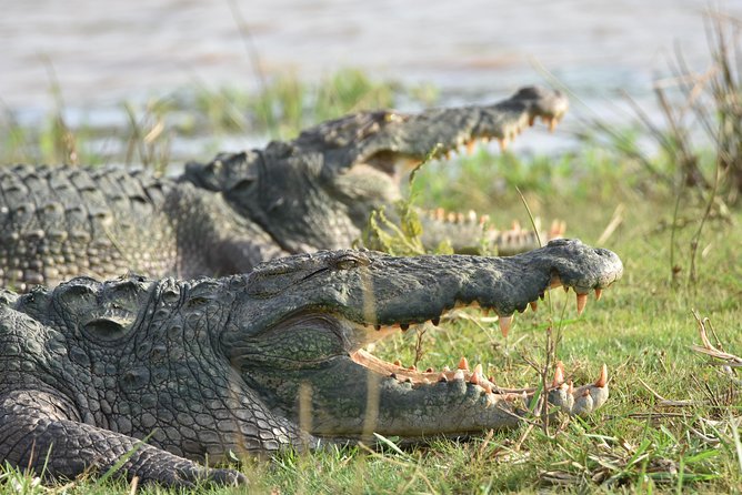 Private Tour : YALA National Park with Experienced Driver and Guide - Searching for Yala’s big three
