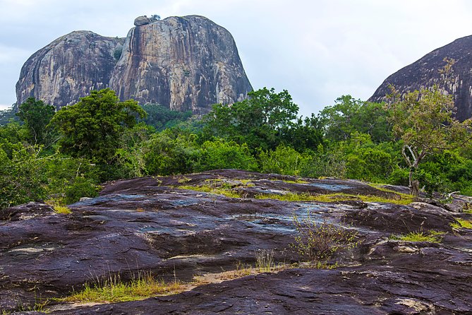 Private Tour : YALA National Park with Experienced Driver/Guide - How to judge the guide on the day