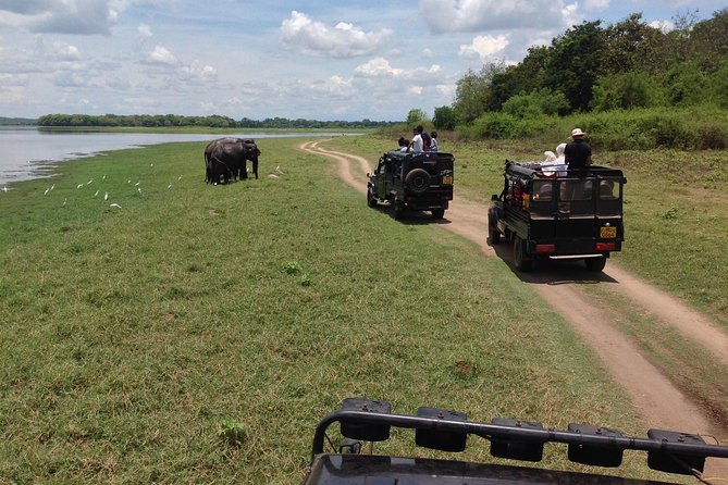 Private Trip to Sigiriya, Dambulla & safari from Colombo/ Negombo - How to make the day run better