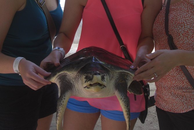 Private Tuk-Tuk Village Tour - From Bentota Hotels - Induruwa Turtle Conservation in 20 Minutes