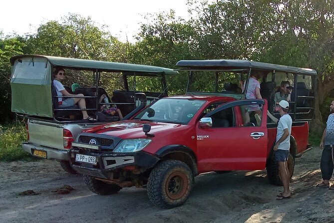 Private Wilpatu National Park Leopard safari from Colombo/Negambo - Lunch near the park before the game drive