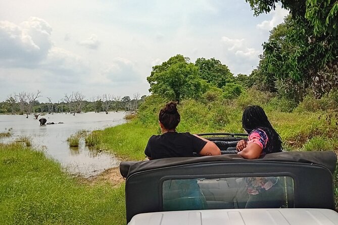 Private Wilpatu National Park Leopard safari from Colombo/Negambo - What the $78 price really covers
