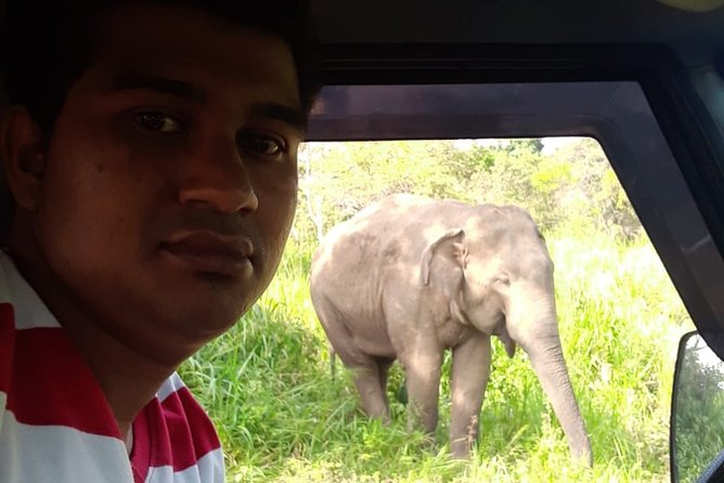 Rangiri Jeep Safari Sigiriya Lion Rock & Evening Jeep Safari - Hurulu Eco Park for a forest-based elephant search