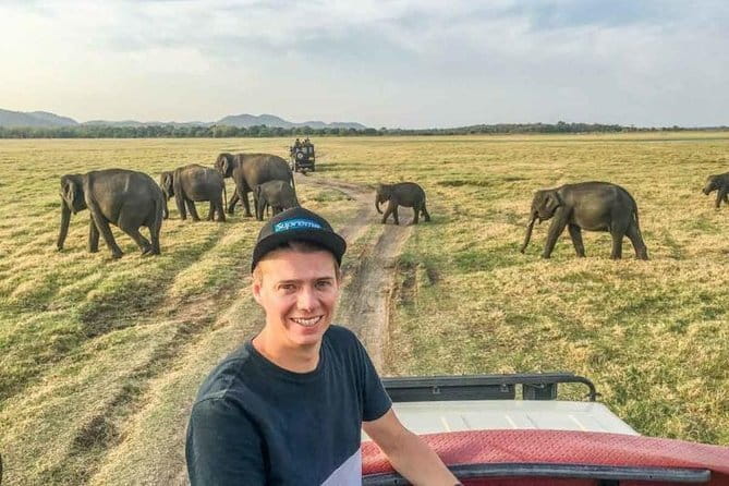 Safari Adventure in Minneriya national Park Sri Lanka - A guide who keeps the experience calm