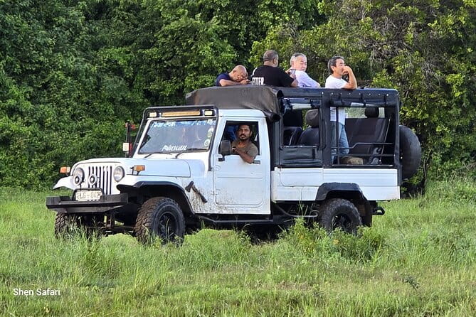 Safari Adventure in Minneriya national Park Sri Lanka - The 6:00 am pickup and private jeep setup