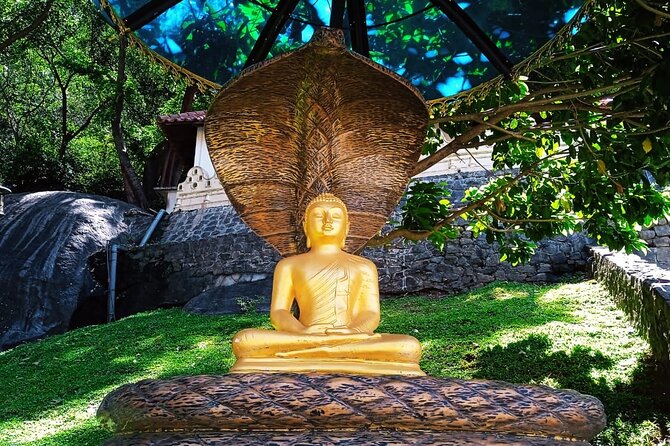 Safari Day Tour to Sigiriya Lion Rock and Golden Cave Temple - Understanding the real cost of the day