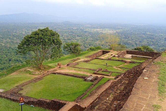 Safari Day Tour to Sigiriya Lion Rock and Golden Cave Temple - Optional village rides and the Hurulu safari