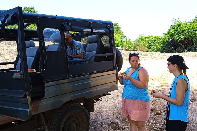 Safari Day Tour to Sigiriya Lion Rock and Golden Cave Temple - Climbing Sigiriya Lion Rock in 1 hour 40 minutes
