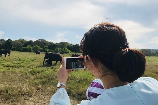 Safari Tour at Minneriya National Park - Minneriya or Kaudulla: why the park choice matters