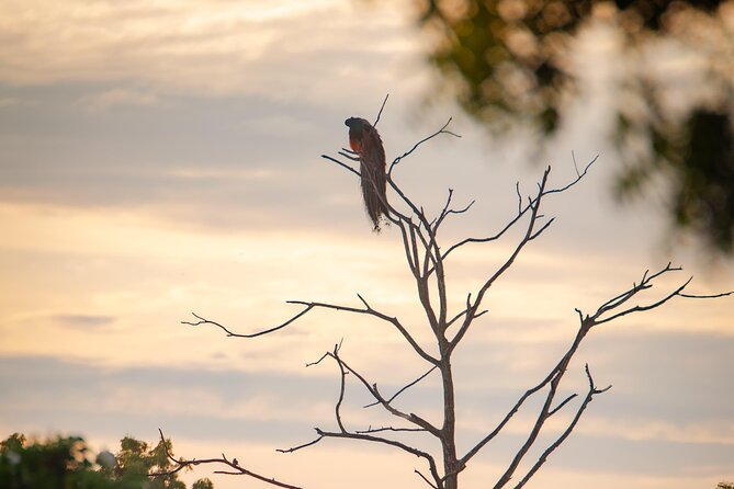 Safari tours in Udawalawa - The first hour: getting into safari mode