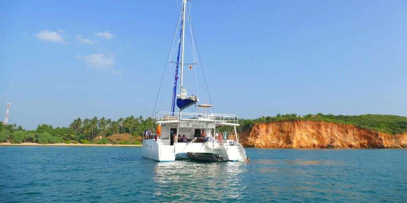 Sail Lanka Charter - Whale Watching Cruise In Mirissa - Seeing whales from the bow and upper decks