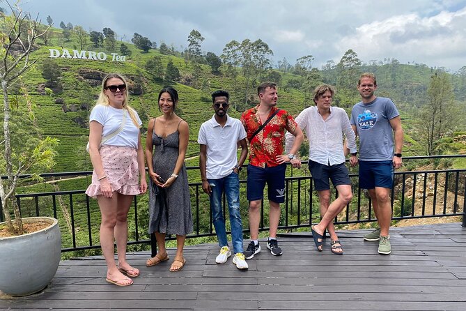 Scenic Road Trip to Ella from Kandy (Group) - Damro Labookellie shows how tea reaches your cup