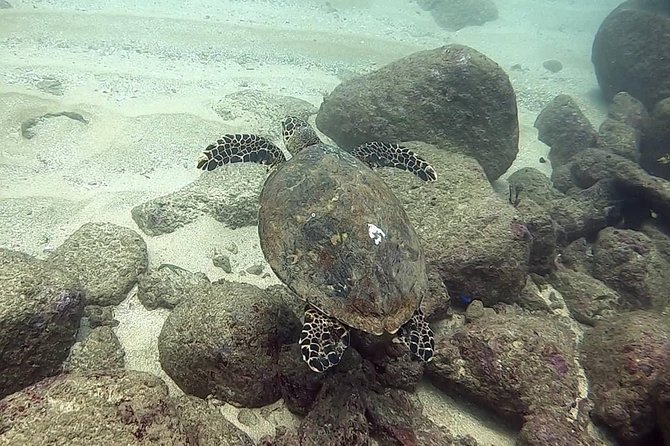 Scuba Diving at Unawatuna - What the four-hour schedule really includes