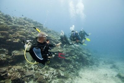 Scuba Diving For Beginners