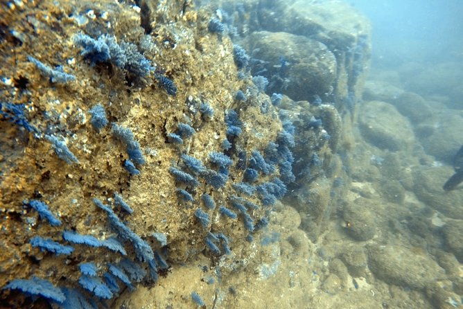Scuba Diving in Mirissa - What the three-hour schedule feels like