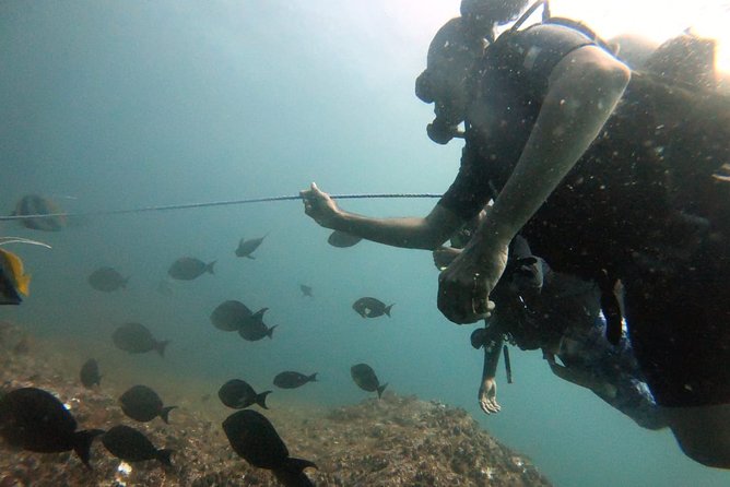 Scuba Diving in Mirissa - Why first-time scuba users may feel comfortable