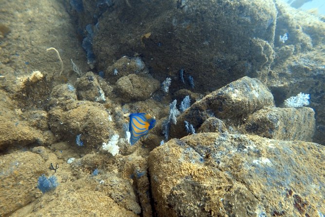 Scuba Diving in Mirissa - My booking advice
