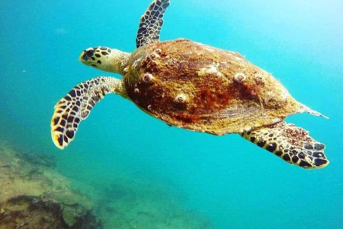 Scuba Diving in Mirissa - Weather is the one major variable