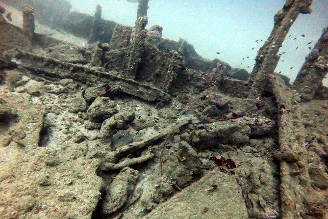 Scuba Diving in Unawatuna - Who should book this activity