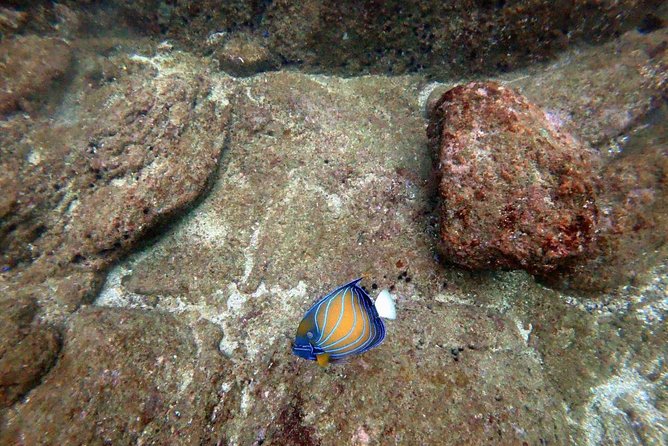 Scuba Diving in Unawatuna - Getting prepared with gear and instruction