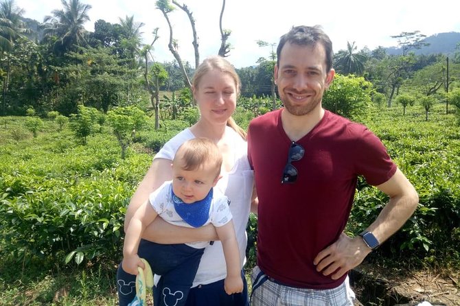 Shore Excursion From Colombo port to Ingiriya Tea Plantation & back for 2 People - Rubber Trees and Sri Lankan Farming
