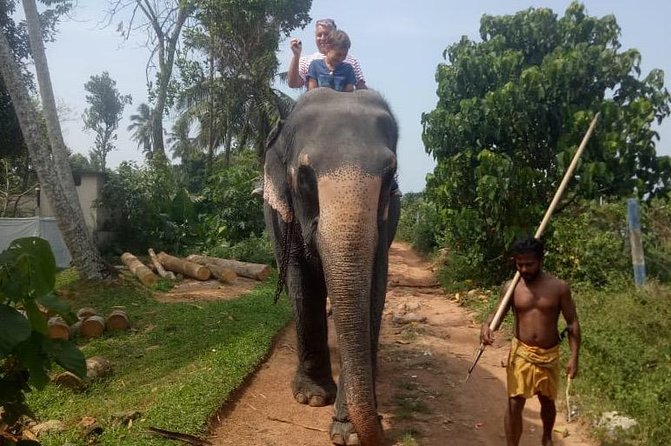 Shore Excursion From Colombo port to Ingiriya Tea Plantation & back for 2 People - The Guide and Private Car Matter Most