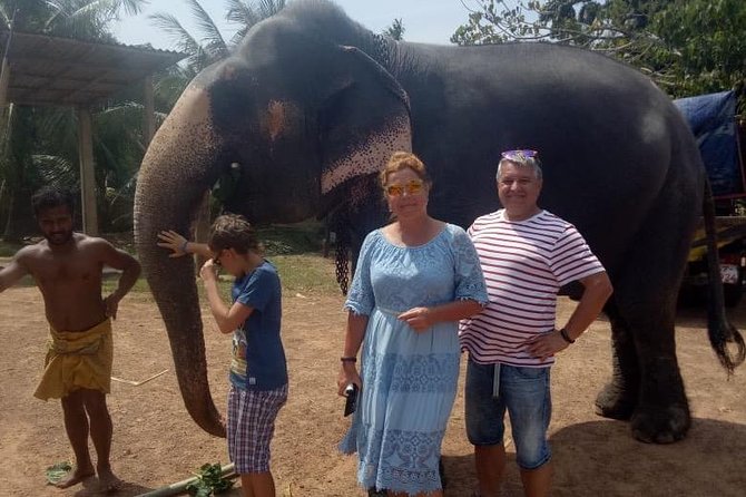 Shore Excursion From Colombo port to Ingiriya Tea Plantation & back for 2 People - Is $135.72 Good Value for Two?