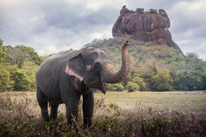 Sigiriya and Dambulla Cave Temple Private Day Trip From Bentota - Why this makes sense from Bentota
