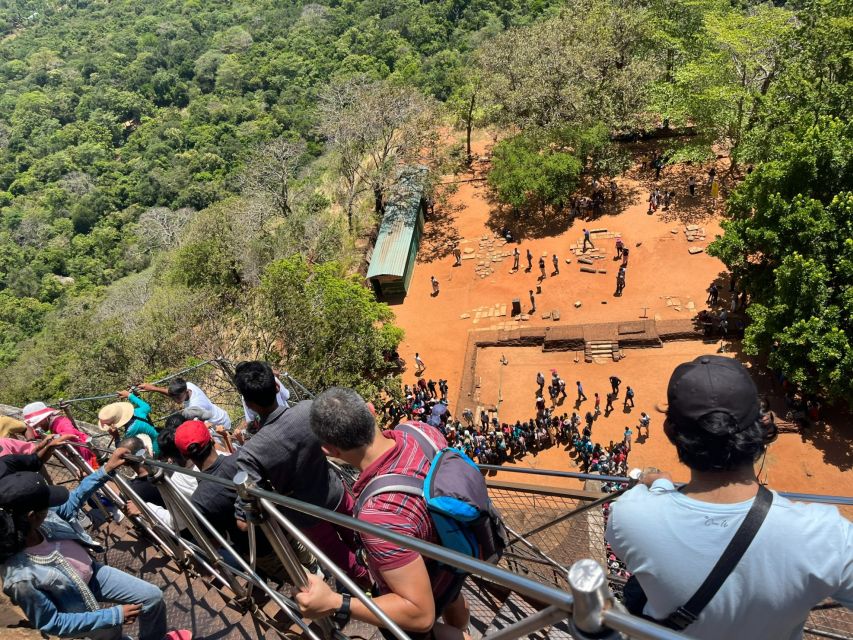 Sigiriya and Dambulla day tour from Ella - Guides, language, and the small-group setup