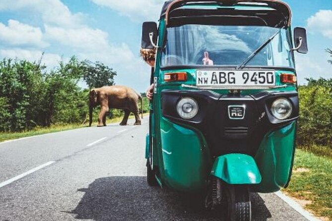 Sigiriya and Dambulla Private Day Tour by Tuk-Tuk or Car - What this private Sigiriya tour is really like