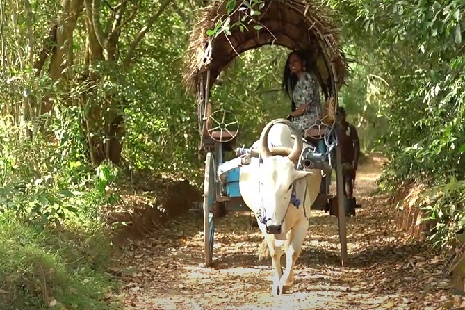 Sigiriya and Dambulla Private Day Tour by Tuk-Tuk or Car - Climbing Sigiriya Rock in about two hours