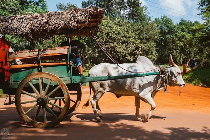 Sigiriya and Dambulla Private Full-Day Guided Tour - The Private Car Matters on an 11 to 13-Hour Day