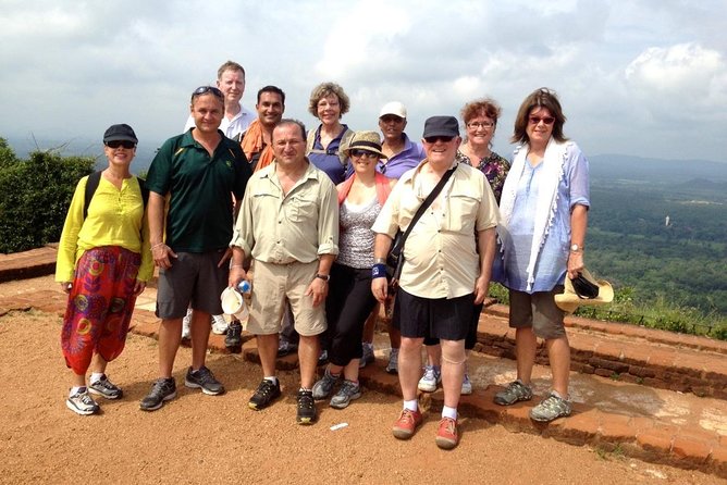 Sigiriya and Dambulla Tour (All Inclusive) - The private vehicle and what the driver provides