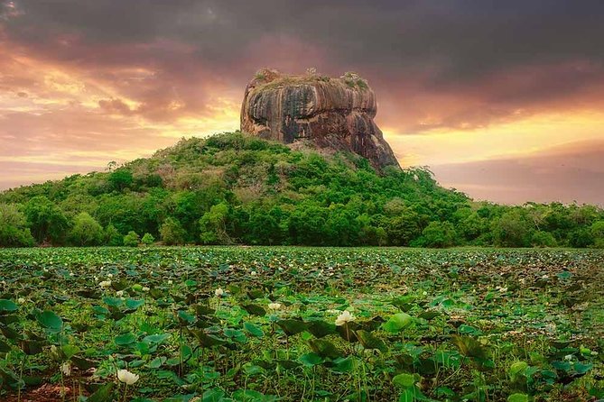 Sigiriya and Dambulla Tour (All Inclusive) - Lunch, tickets, and the value of $140.20