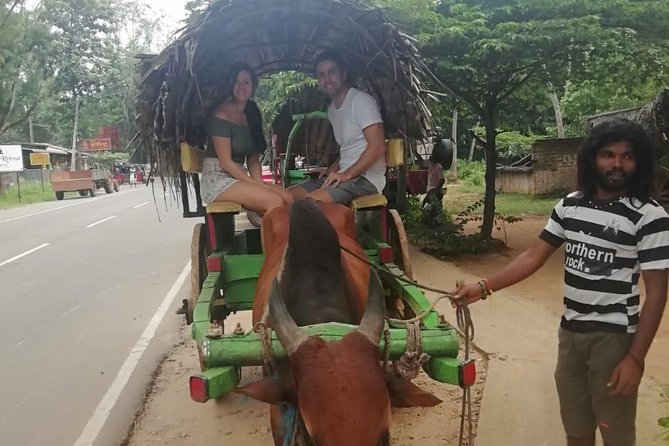 Sigiriya city tour from Negombo & Colombo with traditional Lunch. - Lunch, water, and what is actually included