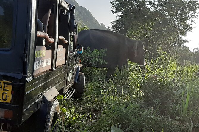 Sigiriya, Dambulla and Minneriya National Park Private Tour In - Key points before you book