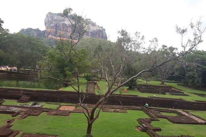 Sigiriya, Dambulla and Minneriya National Park Private Tour In - Sigiriya turns sightseeing into a workout