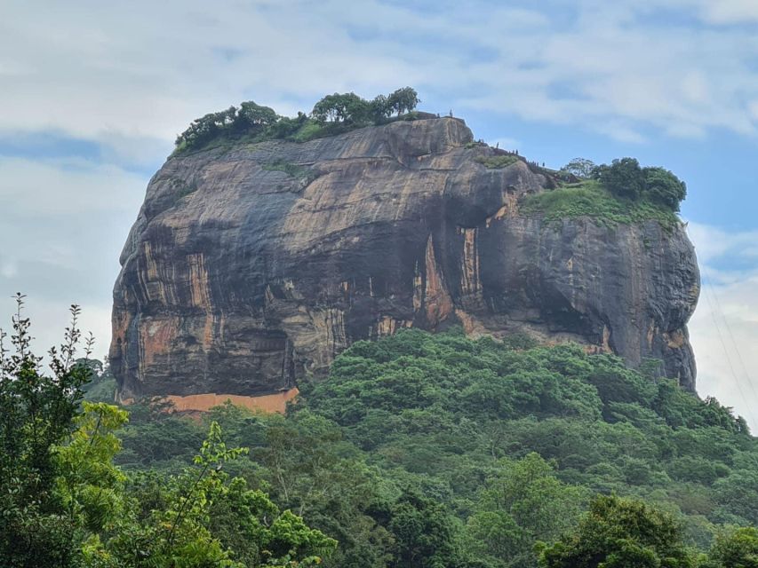 Sigiriya, Dambulla, and Village Safari Day Tour from Negombo - Choosing between Minneriya and Hurulu Eco Park
