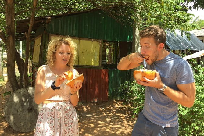 Sigiriya & Dambulla Day Tour - What the private car and guide add