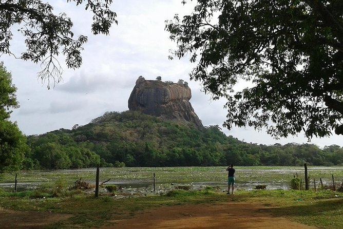 Sigiriya Day Tour - Dambulla Cave Temple - Spices at Ranweli Spice Garden