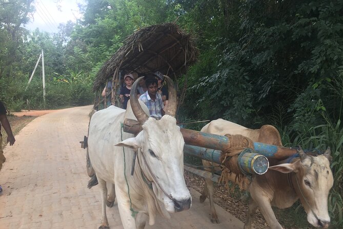 Sigiriya Day Trip with Experts - What the private vehicle adds