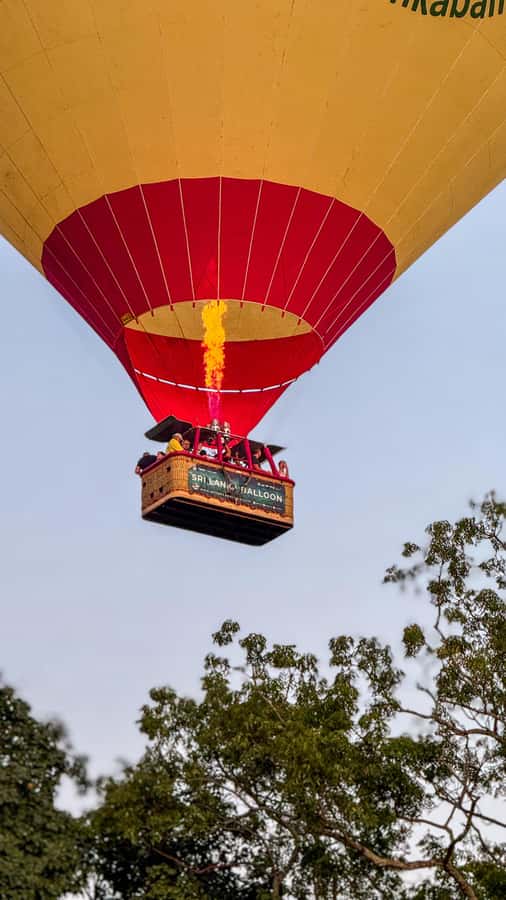 Sigiriya: Hot Air Balloon Ride - Landing in a field and the postflight celebration