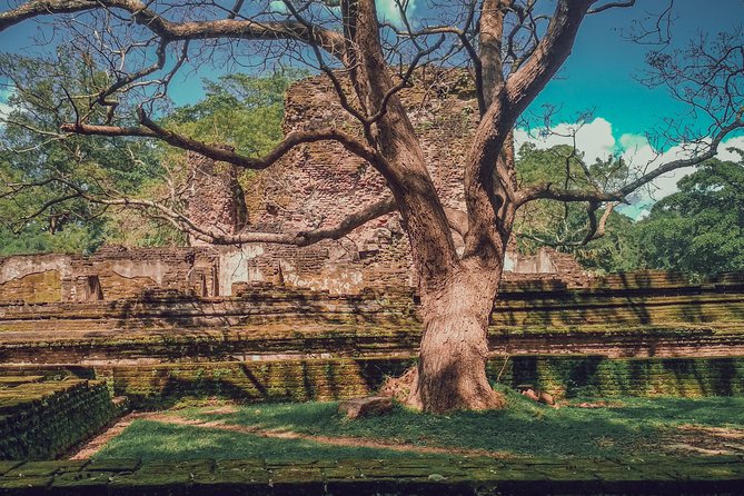 Sigiriya, Polonnaruwa & Dambulla "Trilogy" Day Tour from Colombo - Price, admissions, meals, and the real value