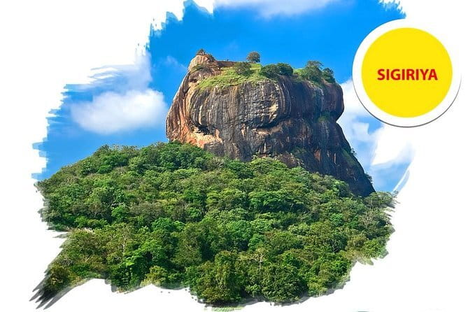 Sigiriya Rock and Dambulla Cave Temple all inclusive Private Day Trip - Who should book this Sigiriya and Dambulla trip?