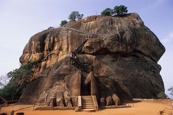 Sigiriya Rock and Dambulla Cave Temples from Negombo (All inclusive day tour) - What the guide and private format add