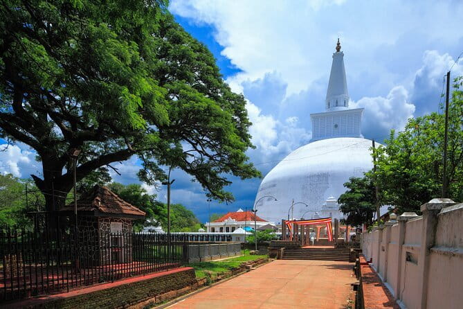 Sigiriya Rock Climb, Village Tour+Cooking Class & Elephant Safari - The Sri Lankan cooking class and local lunch
