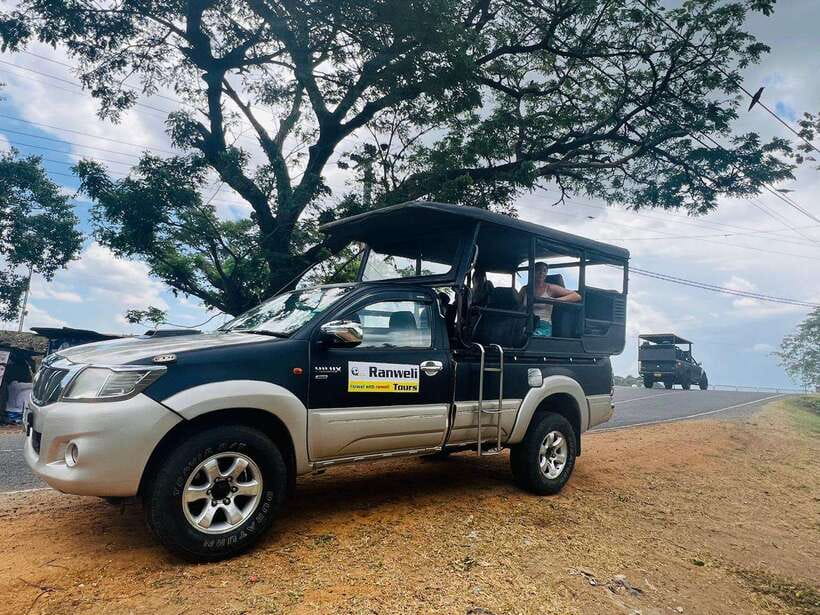 Sigiriya Rock , Dambulla Cave Temple Day Tour from Kandy” - The evening elephant safari